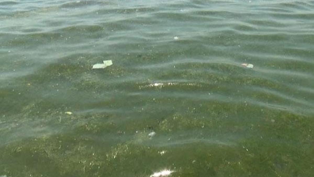 İstanbul plajlarına uyarı