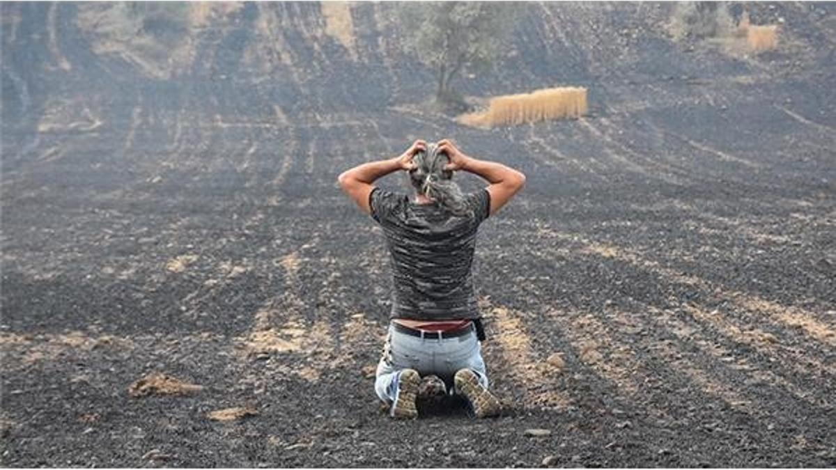 Bir gazetecinin zor gecesi! Fotoğrafın hikayesini anlattı