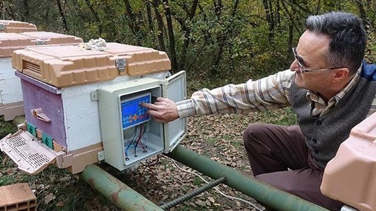 Klimalı kovan ürettiler! Arı ölümleri yüzde 95 azaldı