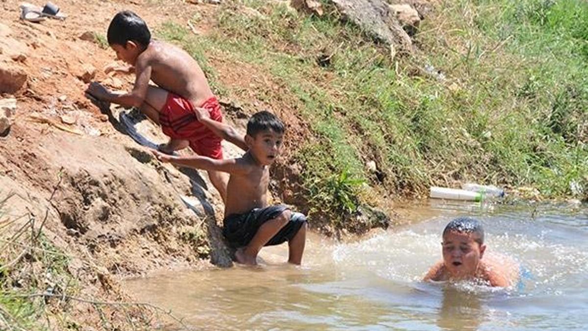 Antalya'da şoke eden görüntü! Yılanlarla birlikte...