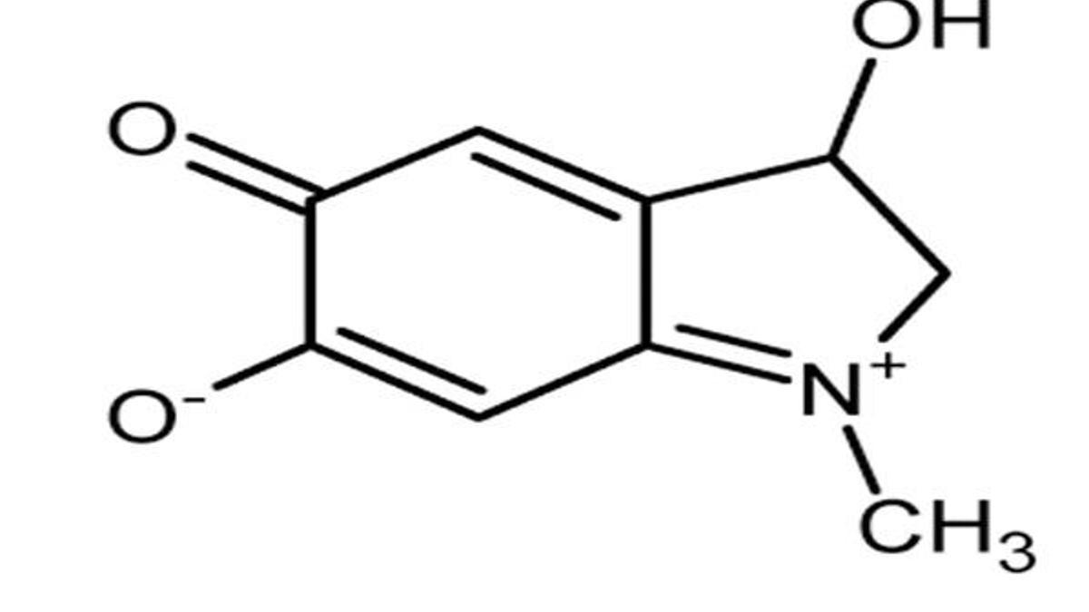 Adrenochrome nedir, ne demek? Wayfair ile gündeme geldi! Adrenochrome kullananlar ünlüler kim? Adrenochrome üretimi nasıl yapılıyor?
