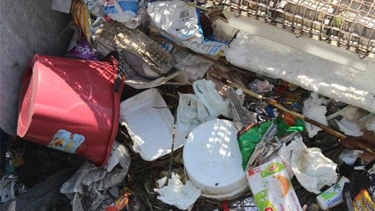 '2050 yılında denizlerde balıklardan çok mikroplastik olacak'