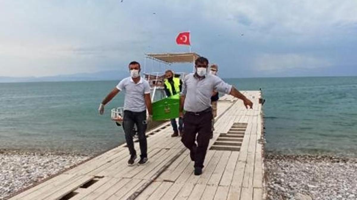 Van Gölü'nden çıkarılan ceset sayısı 40'a yükseldi
