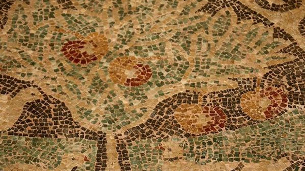 Kaçak kazıda ortaya çıktı! 1800 yıllık 'elma mozaiği' sergileniyor