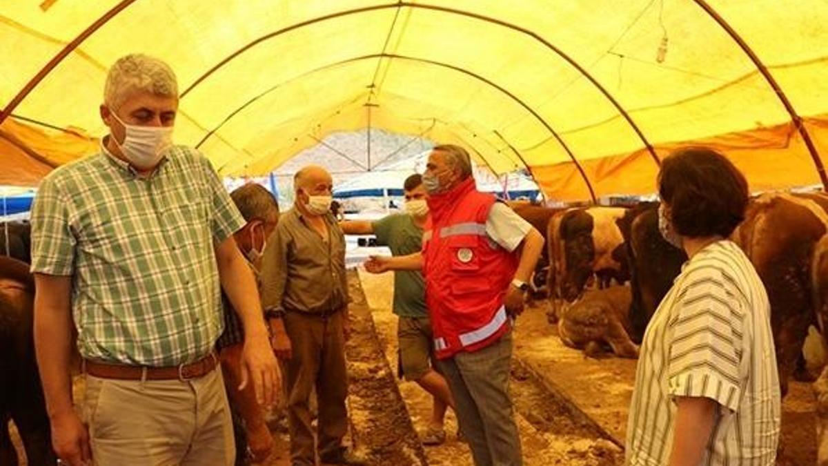 Kurbanlık hayvan alırken dikkat!