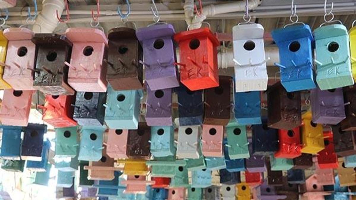 Fabrikasının çevresini ürettiği kuş yuvalarıyla donattı