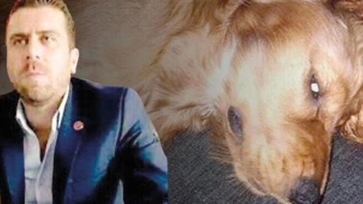 Volkan Uzun tutuklandı! Köpeğe istismarda bulunduğu iddiası...