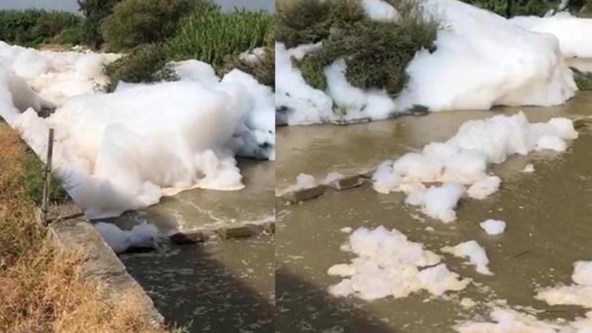Tarsus'ta dere köpürdü, balıklar öldü