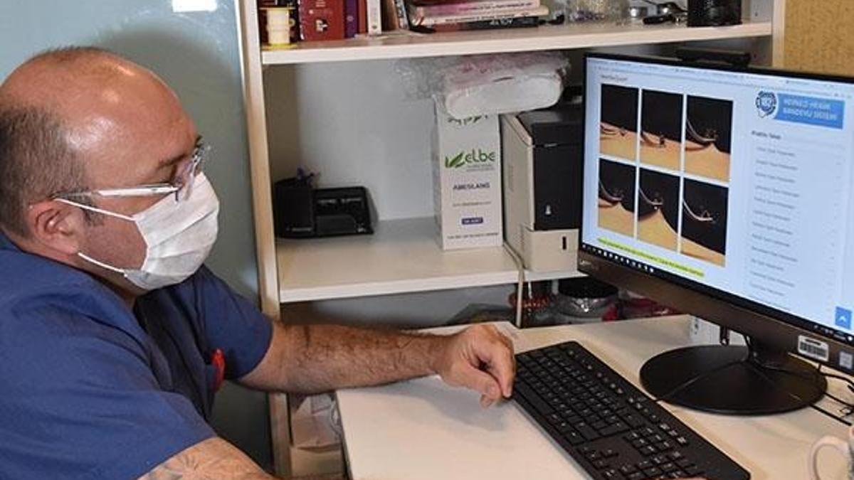 Mesire alanlarındaki kene tehdidine dikkat