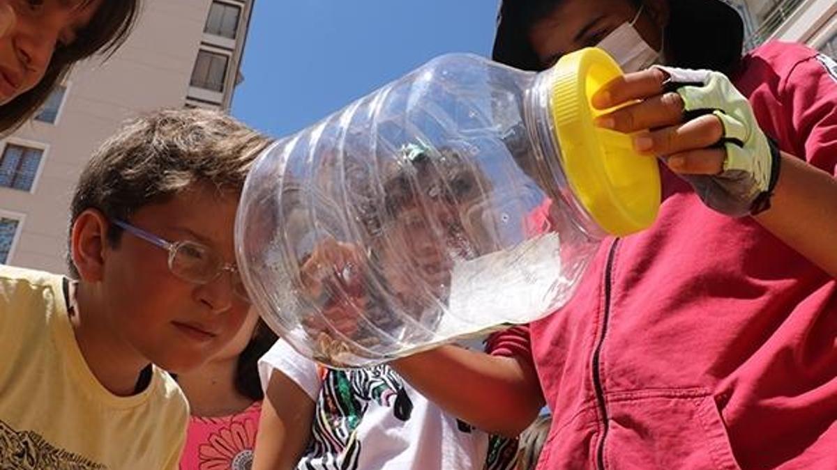 Herkesin korkulu rüyasıydı, Sivas'ta yine ortaya çıktı