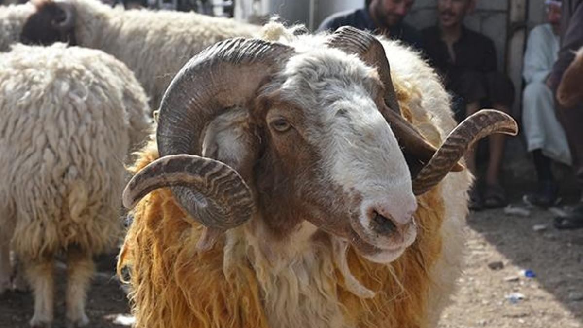 Kurban Bayramı arifesinde oruç tutulur mu? Diyanet'in oruç ile ilgili açıklaması