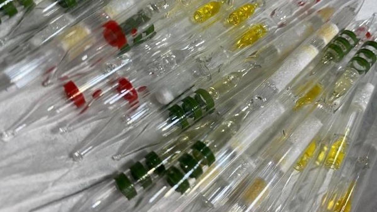 Otogarda 115 tüp kobra yılanı zehri ile yakalandılar