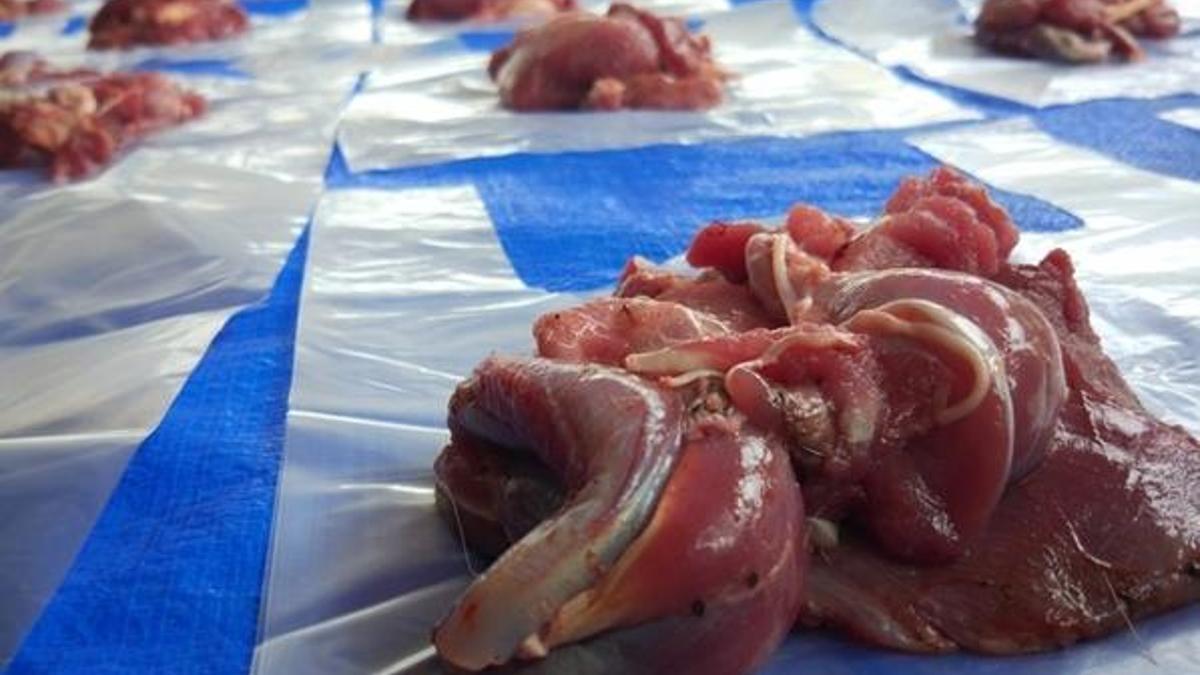 Kurban eti ne kadar dağıtılır? Kurban eti dağıtımı nasıl olur, nasıl pay edilmeli? Kurban eti paylaşımı…