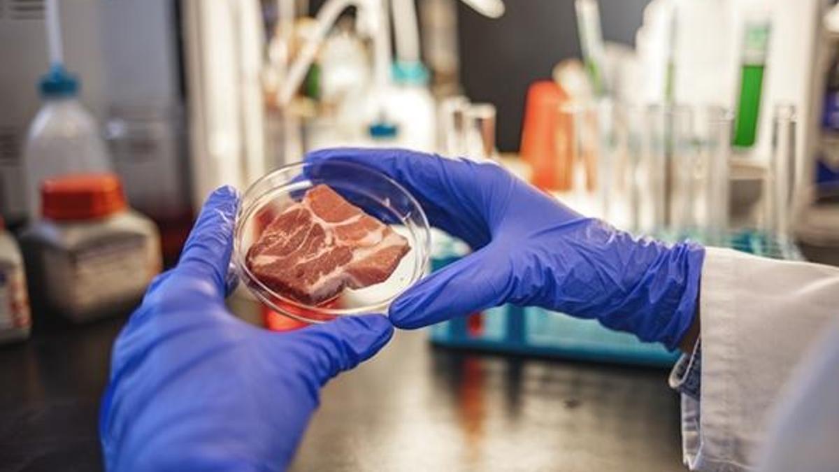 Salmonella nedir? Çiğ ette Salmonella enfeksiyonu tehlikesi!