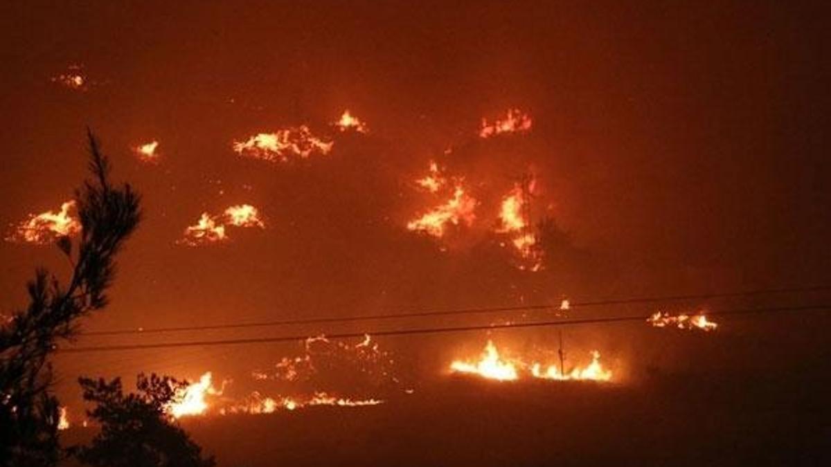 Pakdemirli: Menderes yangını kontrol altında, 1 gözaltı var