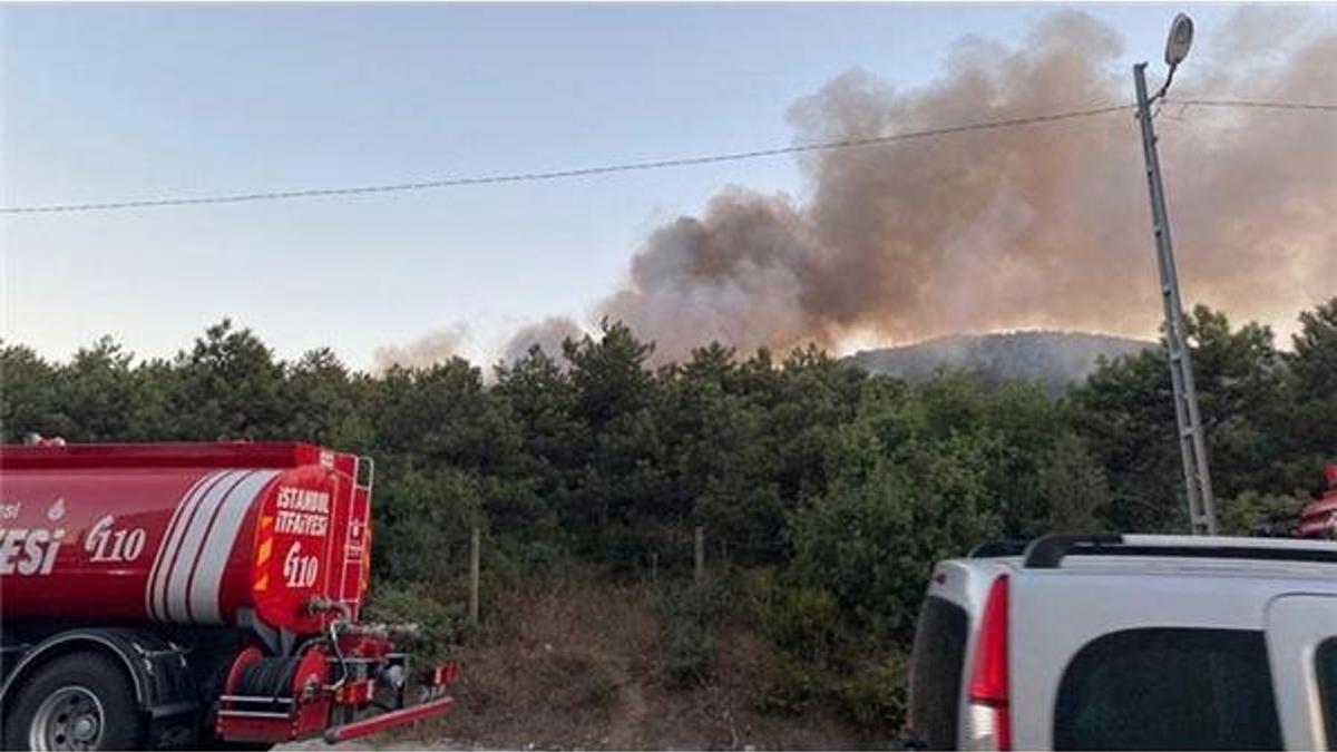 İstanbul Ataşehir'de korkutan orman yangını