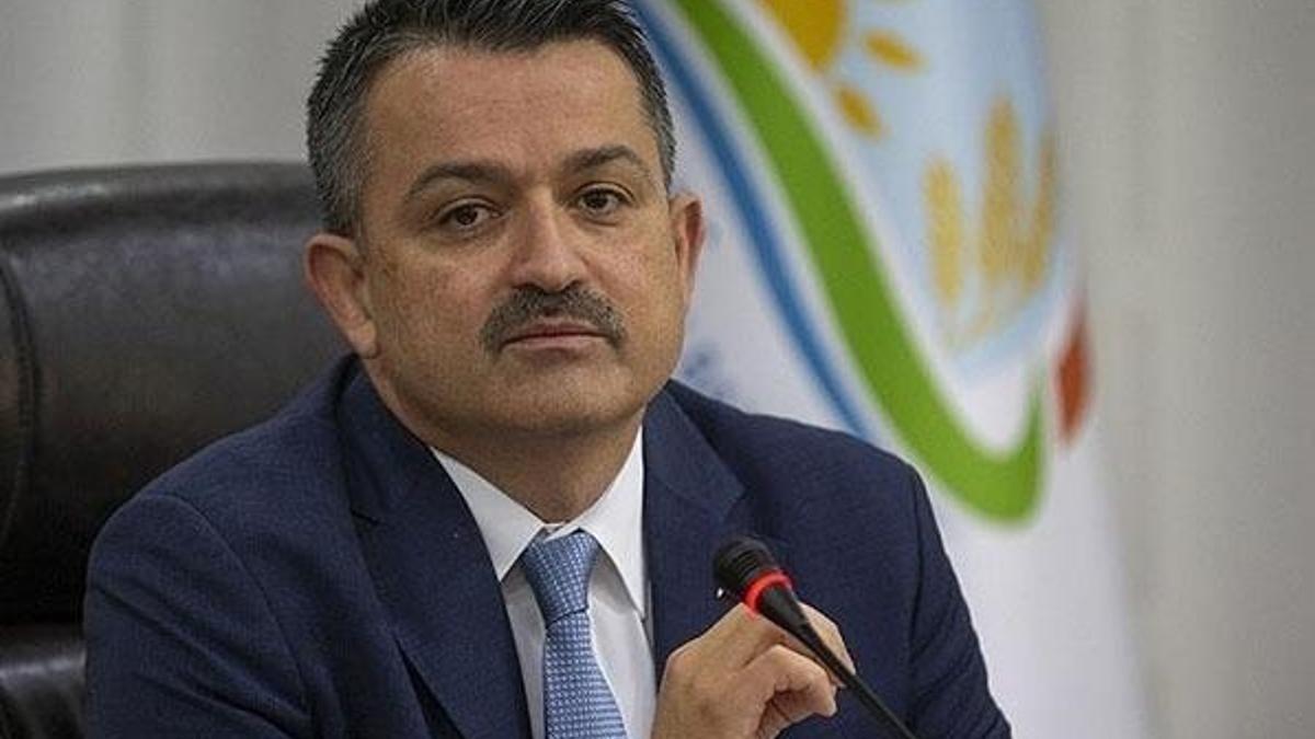 Bakan Pakdemirli açıkladı: Yangınlar söndürüldü