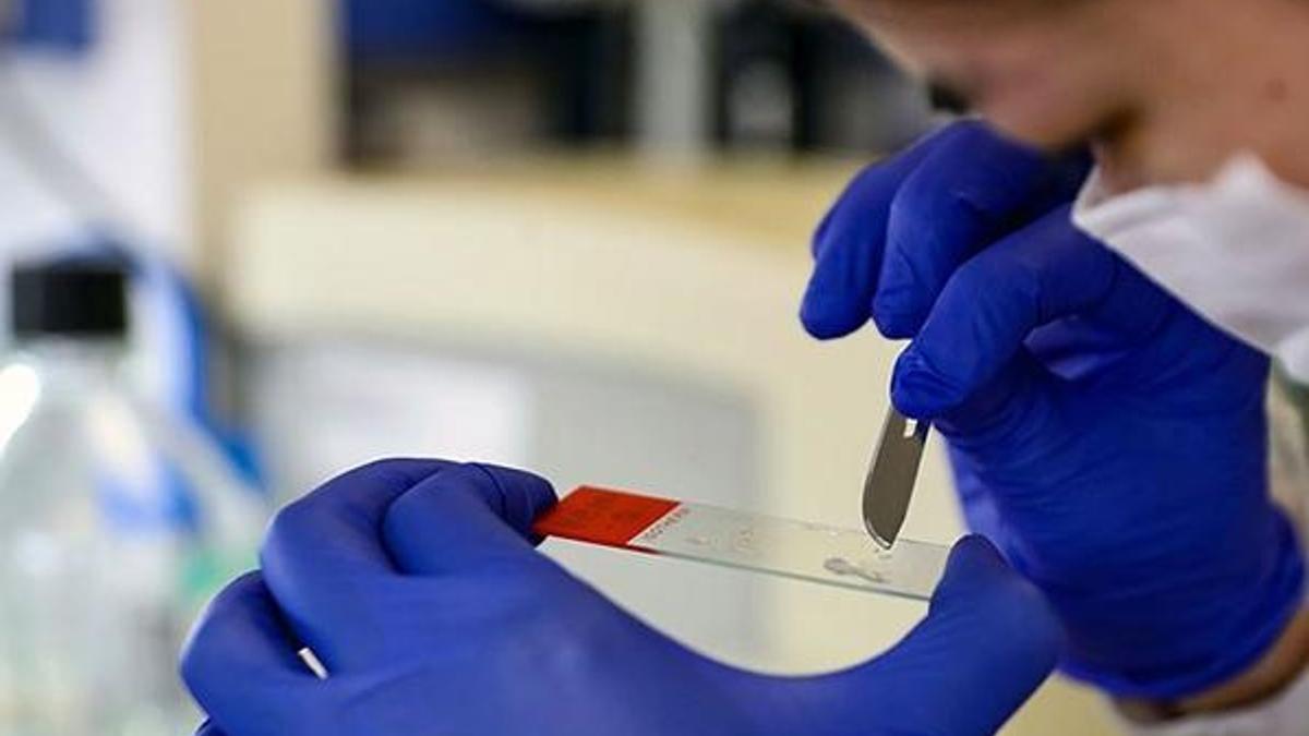 Dünya Kovid-19 aşısını geliştirmek için seferber oldu