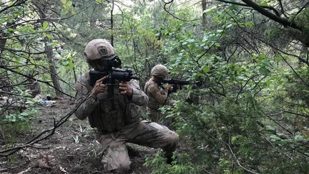 Bakan Soylu açıkladı! Amanoslar'da Yıldırım-5 operasyonu başlatıldı