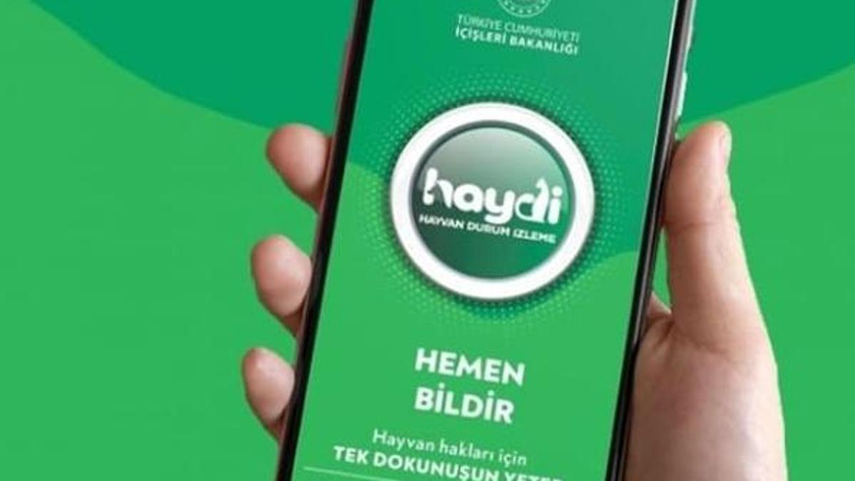 Haydi hayvan durum izleme uygulaması nasıl indirilir? Hayvan durum izleme haydi indir!