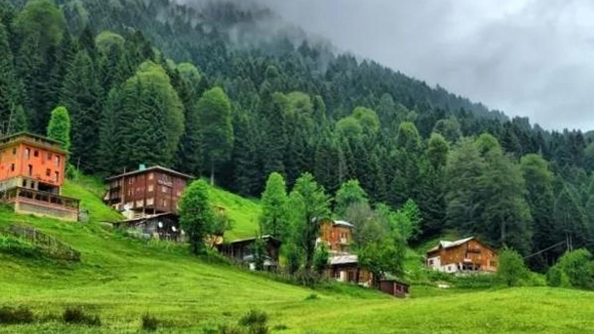 Ayder Yaylası Projesi son durum nedir? Rize Ayder projesi ne zaman bitiyor? (1218 m rakımlı Ayder yaylası son durum)