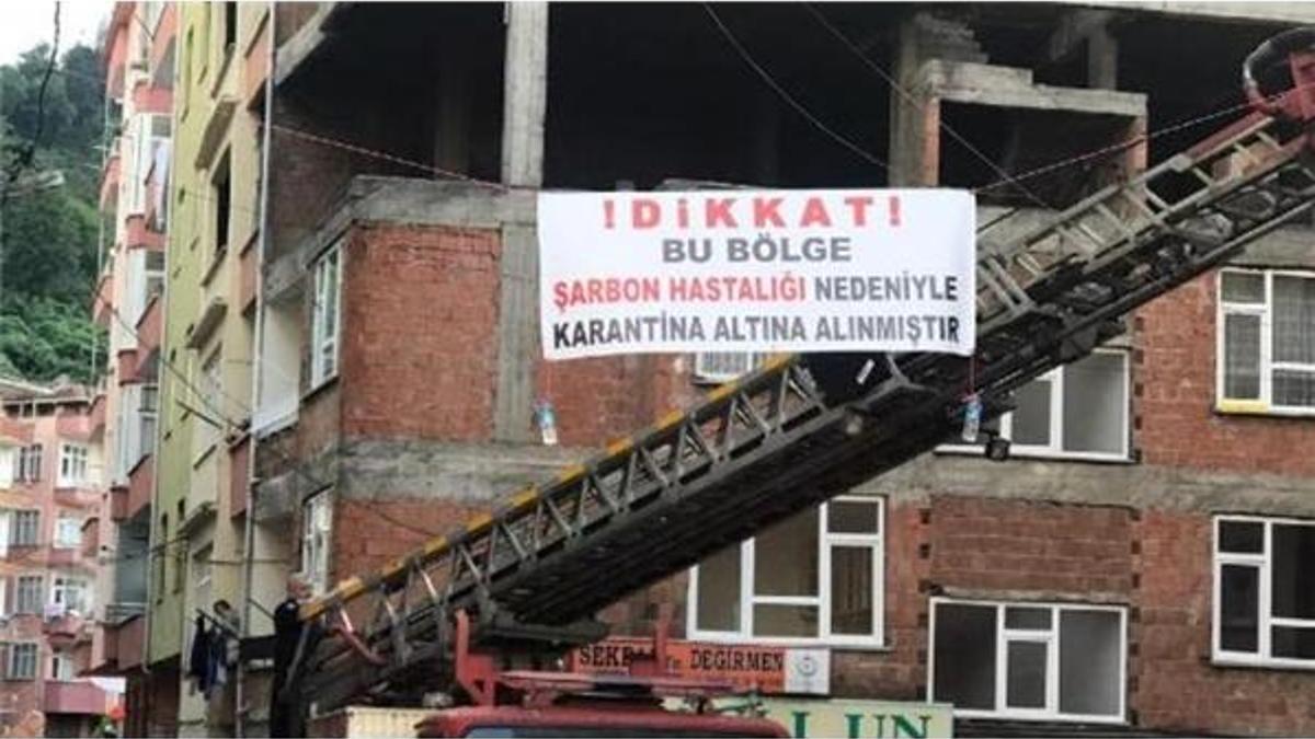 Kesilen büyükbaş şarbonlu çıktı, mahalle karantinaya alındı