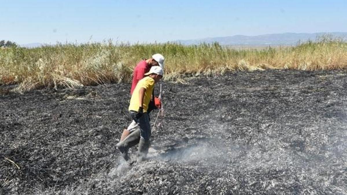 Manisa'da meteor yangını olduğu iddia edilen alanda gök taşı aradılar