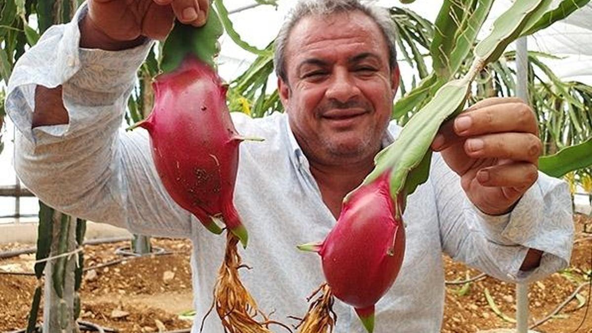 Ejder meyvesine Arap ülkelerinden yoğun talep