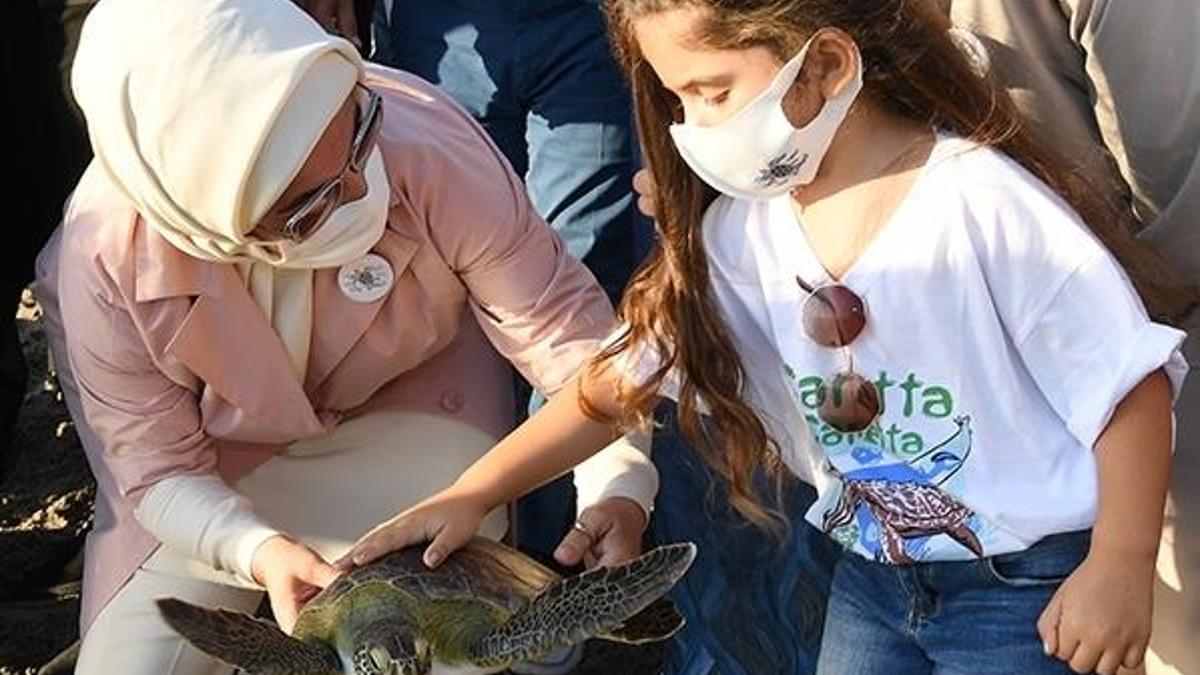 Tedavi edilen caretta carettalar doğal yaşam alanlarına bırakıldı