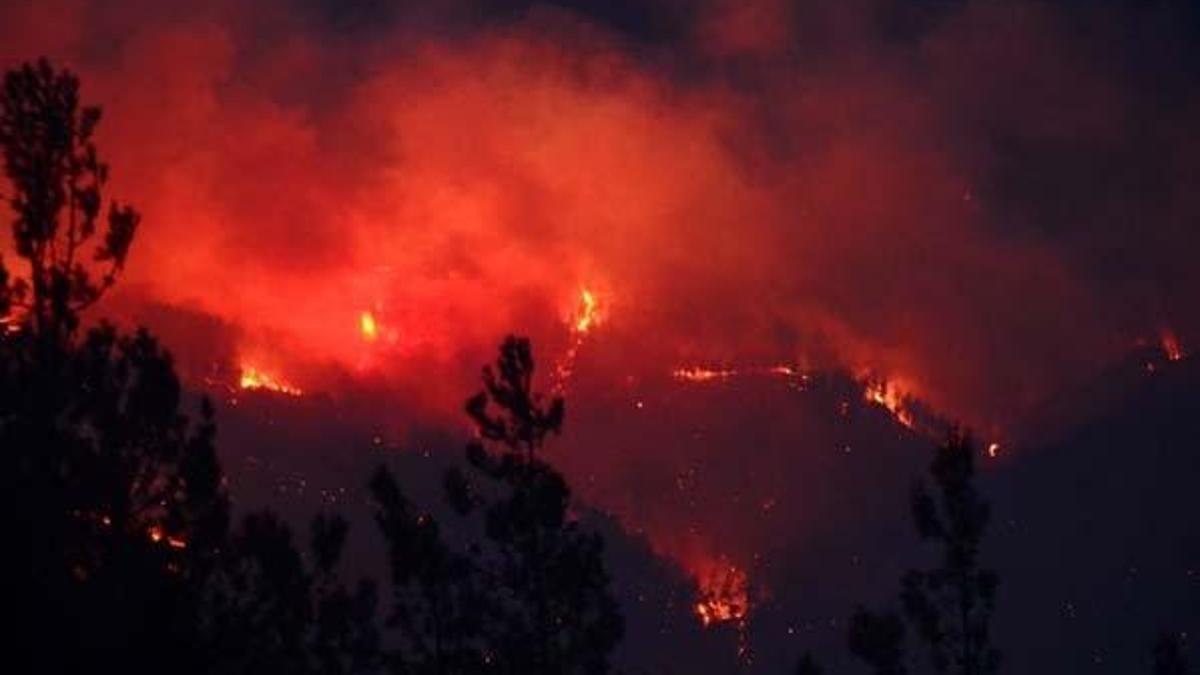 Adana yangını son durum! Adana kozan orman yangını söndürüldü mü?