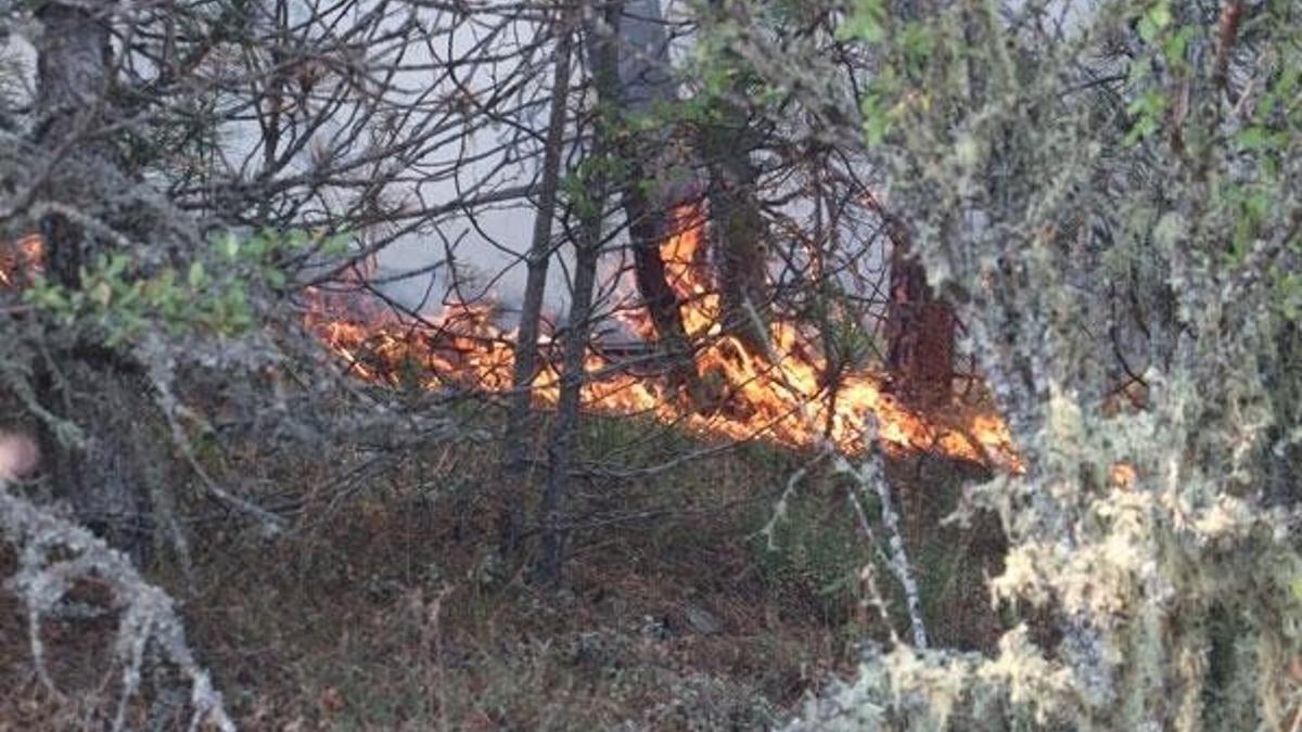 Sakarya'da çıkan orman yangınına müdahale ediliyor