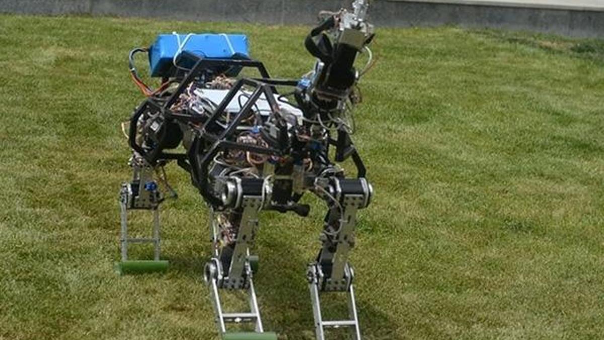 Dört ayaklı robot geliştirilmeye devam ediyor