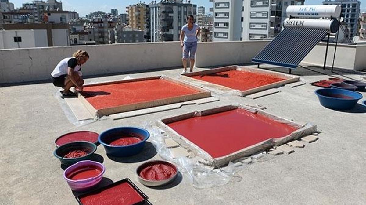Adana'da vatandaşların salçalık biber telaşı
