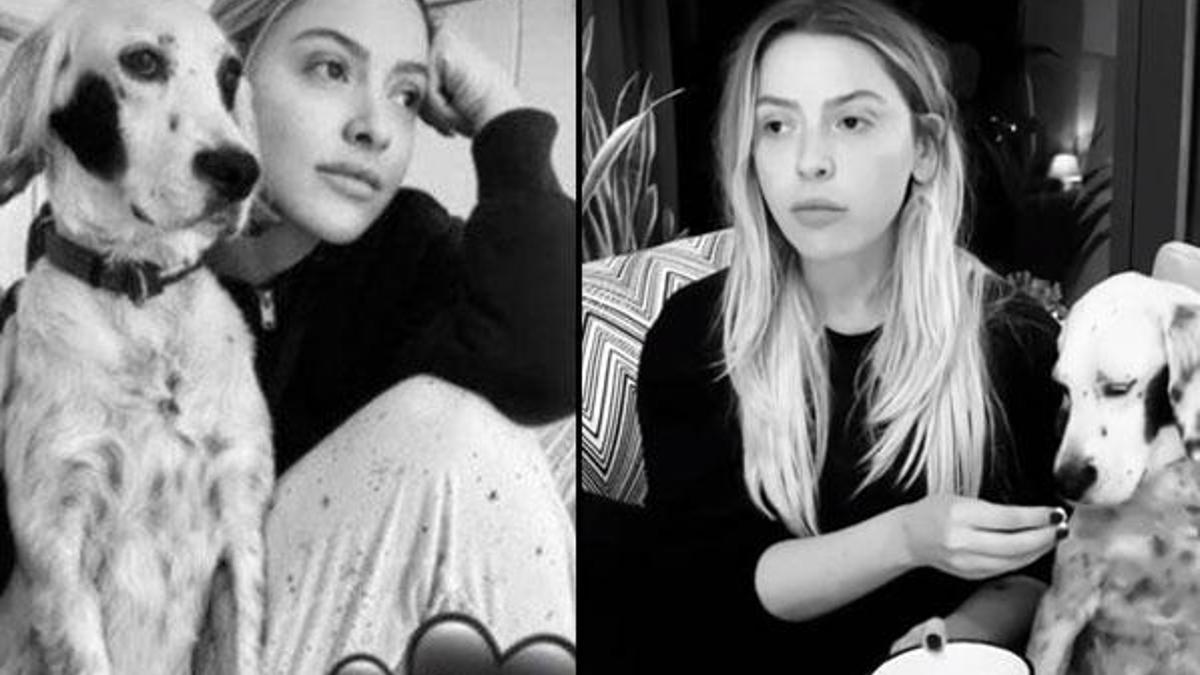Ünlü şarkıcı Hadise paylaştı! Benek'in film-mısır keyfi...