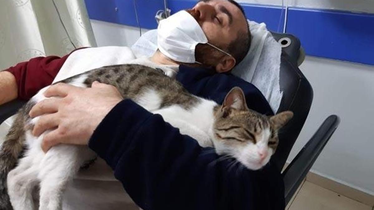 Kalpleri ısıtan görüntü! Bir an olsun yalnız bırakmadı