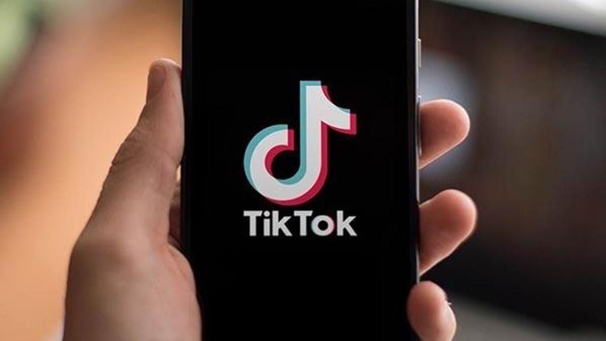Türk yatırımcı TikTok'a talip oldu