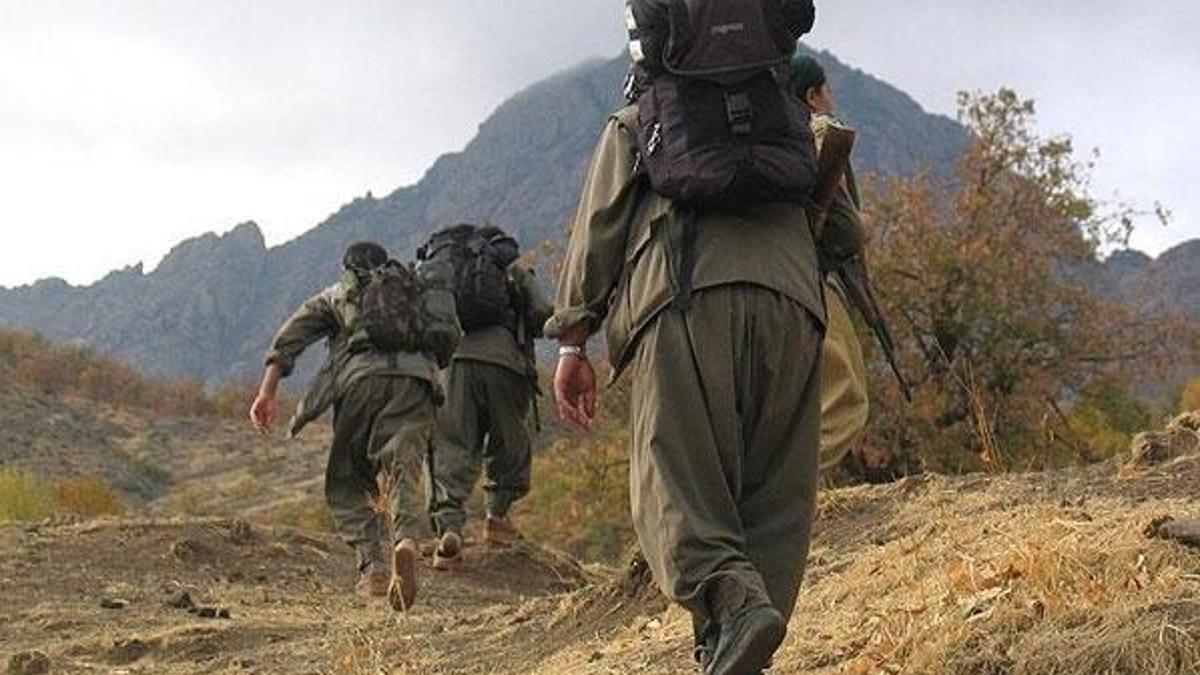 Terör örgütü YPG/PKK bir kız çocuğunu daha kaçırdı