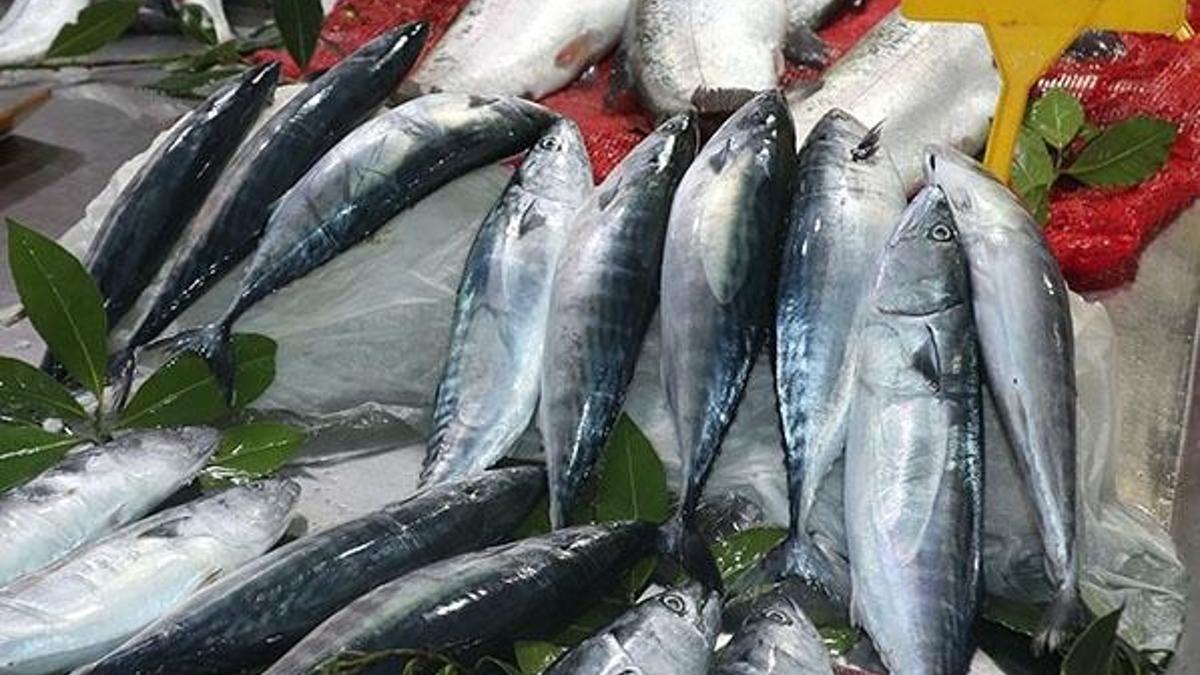 Palamut mezatta 10 liradan alıcı buldu