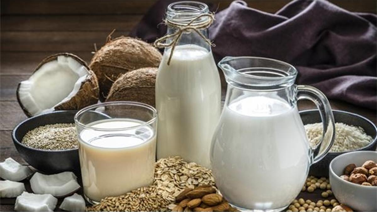 Vegan nedir? Vegan ile vejetaryen arasındaki fark nedir?
