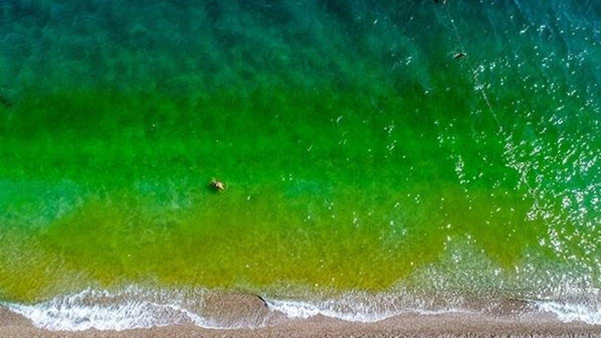 Antalya'da deniz bir anda yeşile döndü, tatilciler korktu!