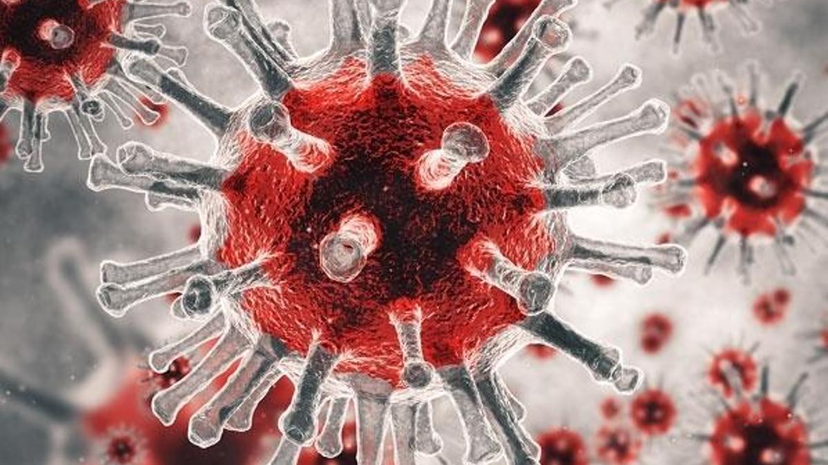 Bursa'da SARS COV-2’ye karşı nano-solüsyon çalışması