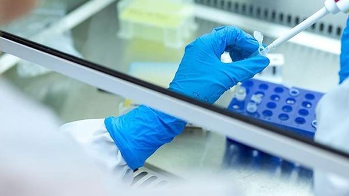Bursa'da nano-solüsyon çalışması sonuç verdi