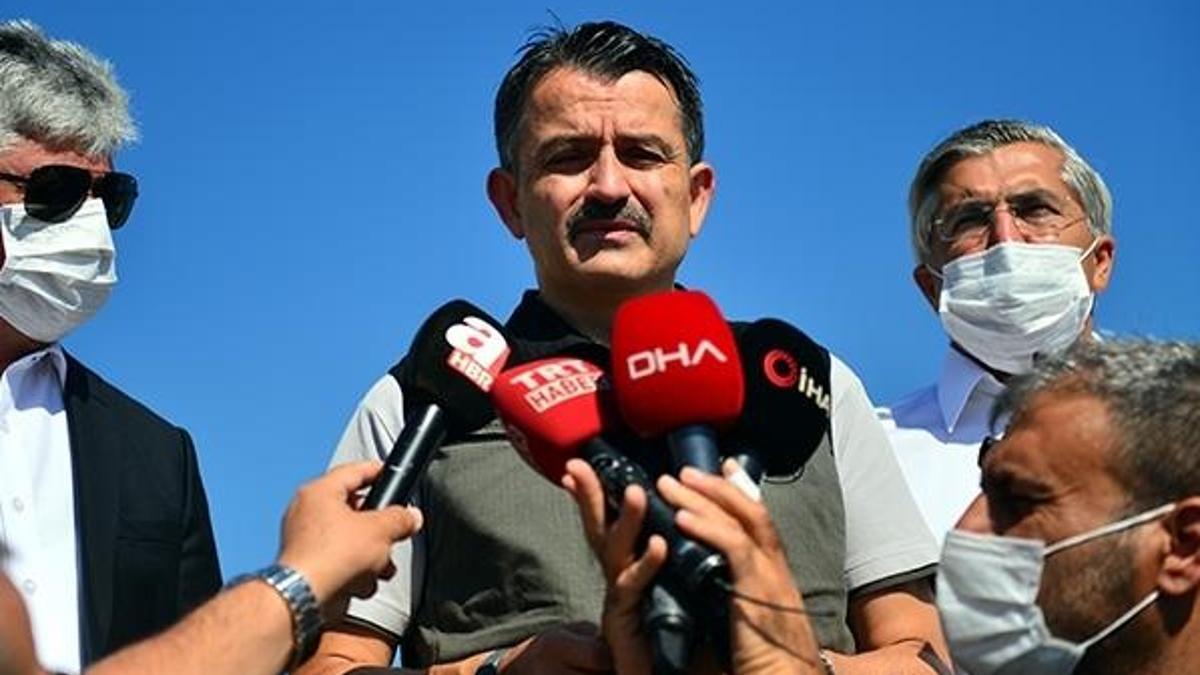 Hatay'da 5 gündür süren yangın kontrol altına alındı!