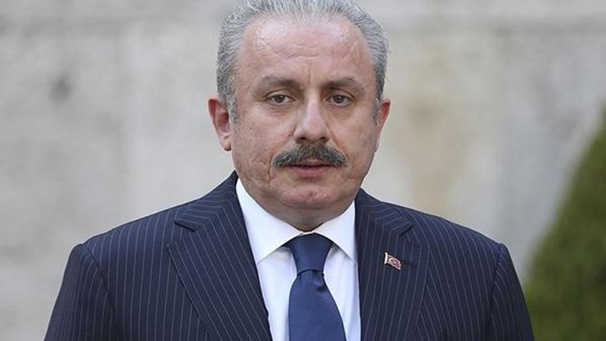 TBMM Başkanı Şentop'tan sert mesaj: 'O gözü çıkarırız'