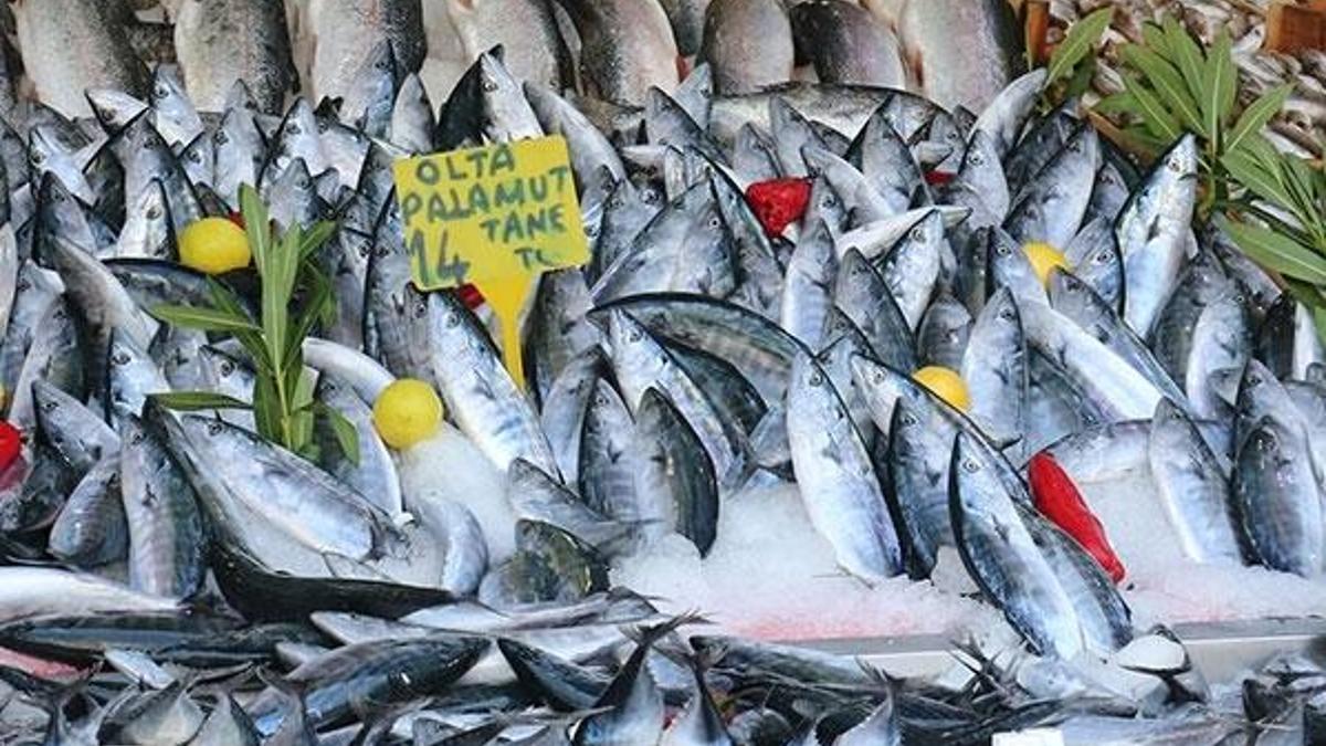 Balık fiyatları! 8 liraya düştü...