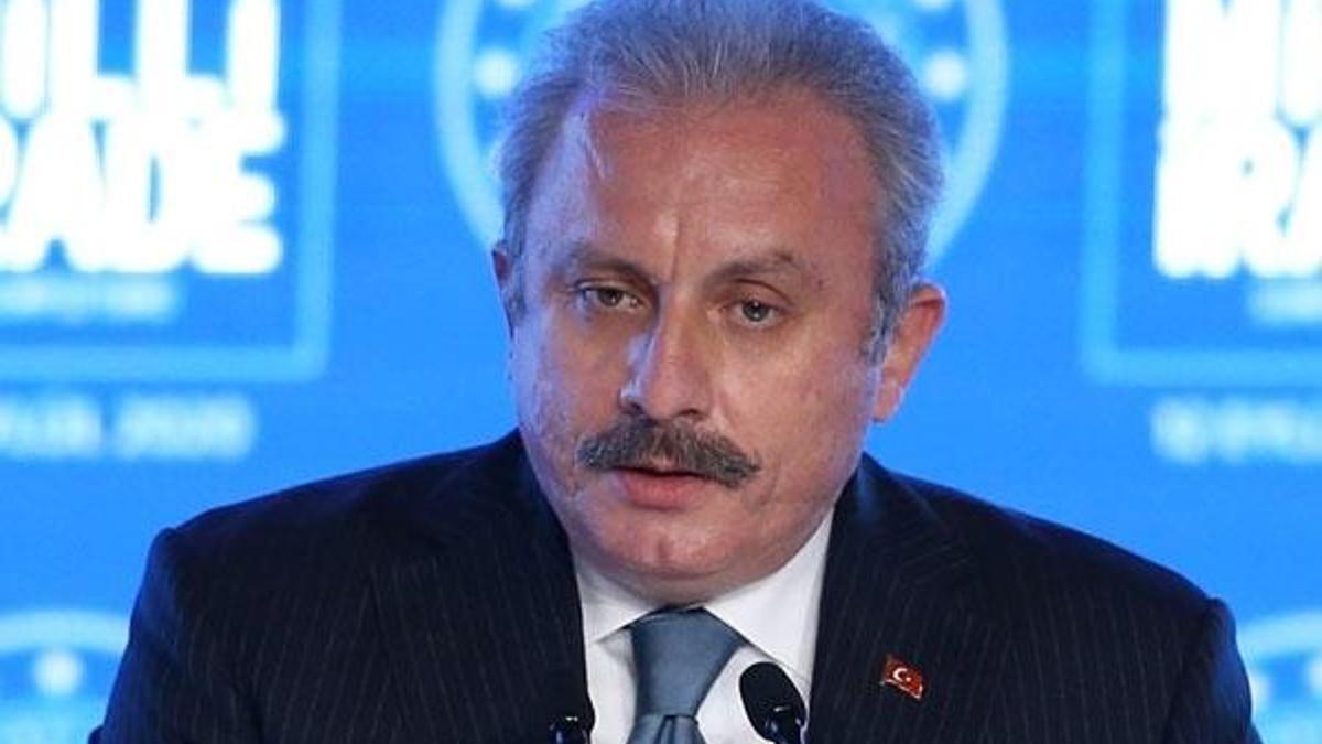 TBMM Başkanı Şentop'tan önemli açıklamalar