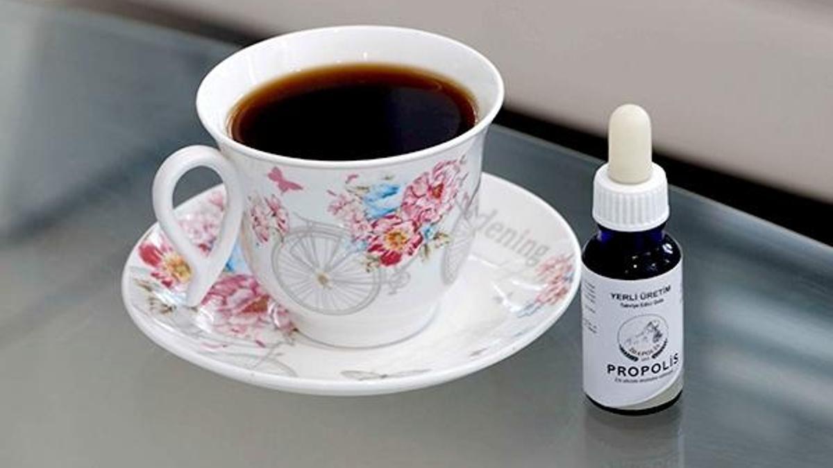 Prof. Dr. Şener: Propolis, virüslerin üremesini önler