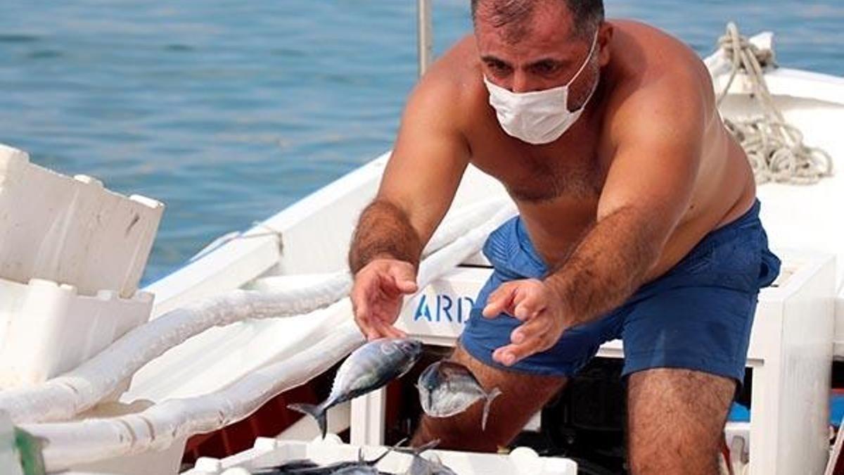 Daha karaya çıkmadan alıcı buluyor! Tanesi 10 liraya satılıyor