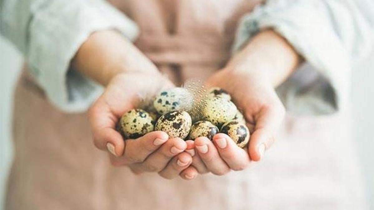 Bıldırcın yumurtasının bilinmeyen 10 faydası