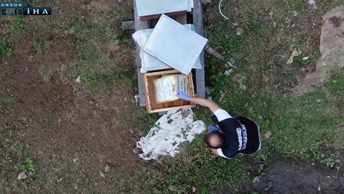 'Kraliçe arı var, aramayın' dediği kovanın içinden çıktı!
